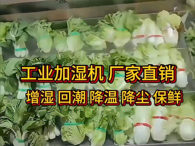 工业加湿机 厂家直销(增湿 回潮 降温 降尘 保鲜)